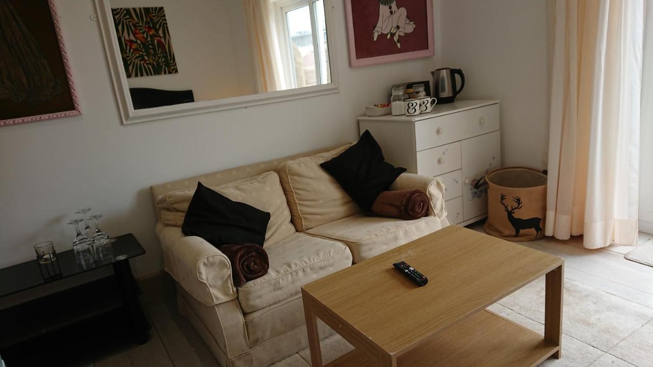 Surf Lookout - King Size En-Suite With Sea Views New Quay Exterior foto